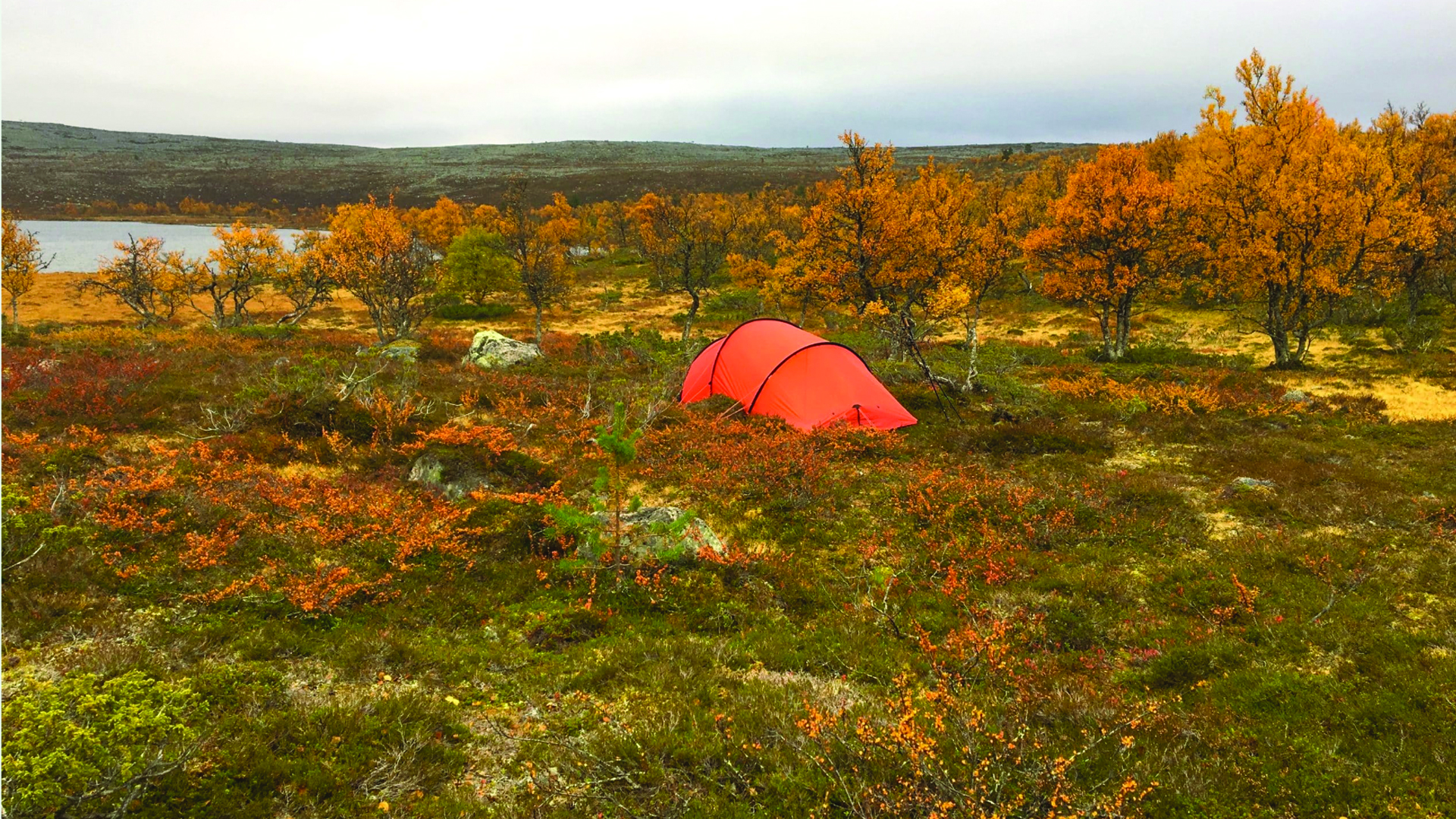 VisionQuest naturterapi kursus - Billede af telt i svensk skov